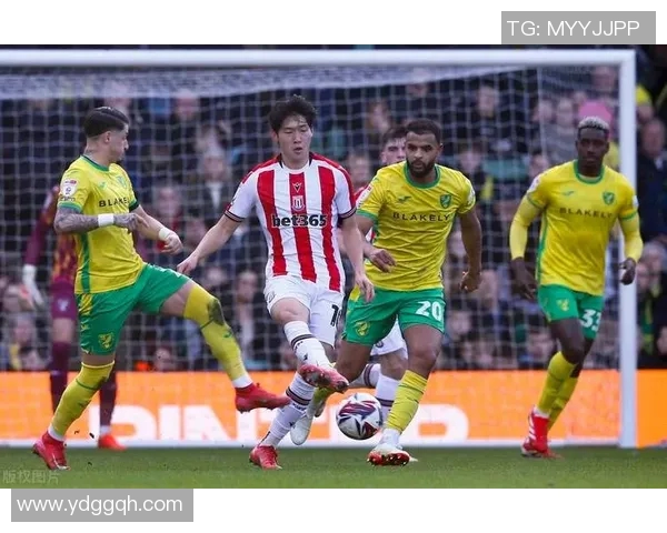 布城与诺维奇精彩对决直播时间及观看方式全攻略