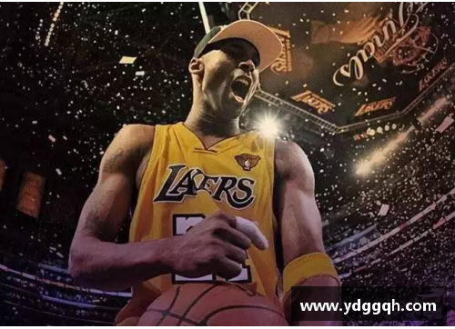 NBA明星与他们的职业生涯：成就、风采与传奇