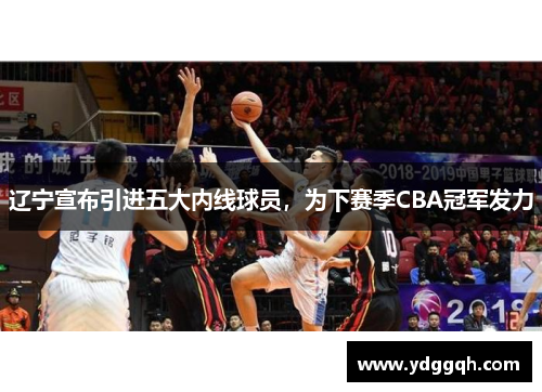 辽宁宣布引进五大内线球员，为下赛季CBA冠军发力