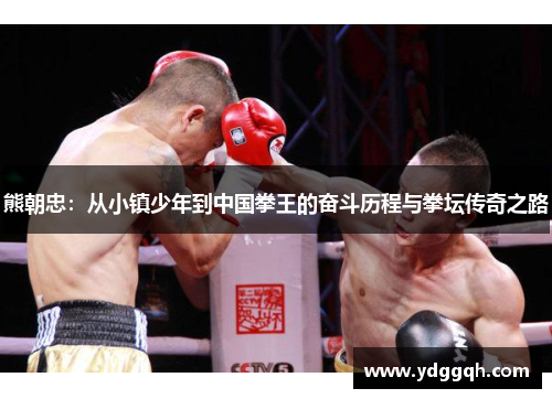 熊朝忠：从小镇少年到中国拳王的奋斗历程与拳坛传奇之路